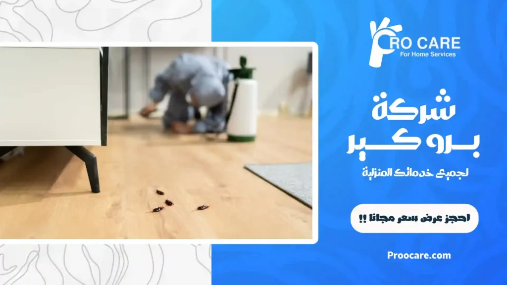 شركة مكافحة حشرات ببطحاء رخيصة