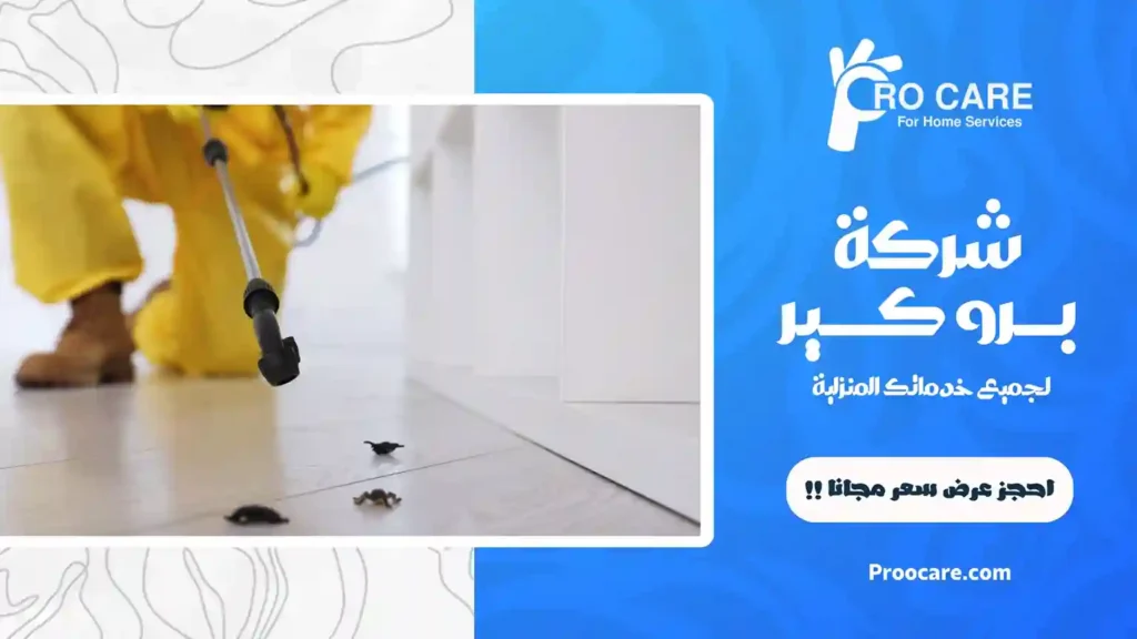 أفضل شركة مكافحة حشرات بحي ولي العهد