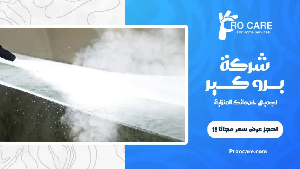 شركة تنظيف بالبخار