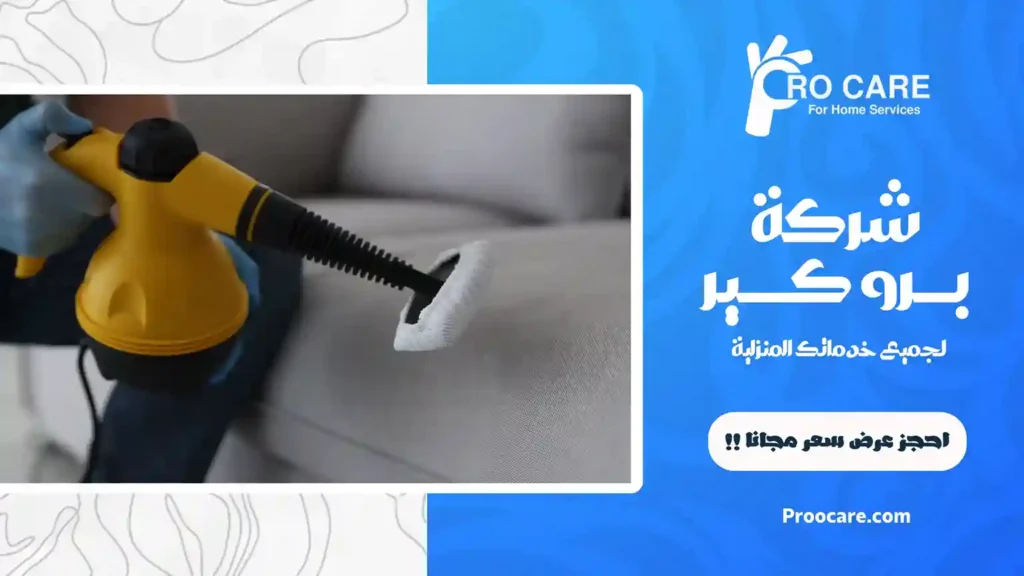 شركة تنظيف كنب