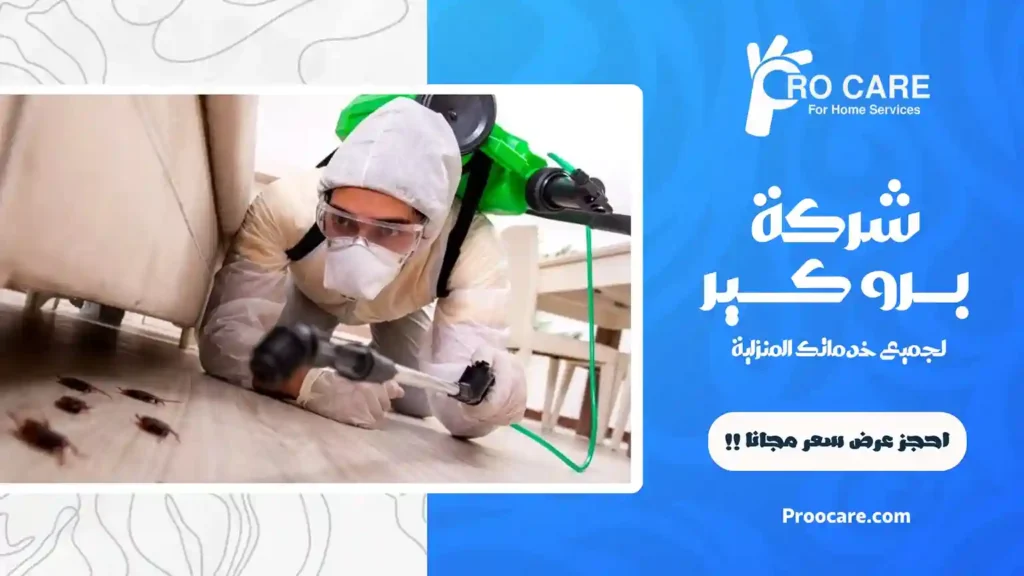 شركة مكافحة حشرات بحي الثغر رخيصة