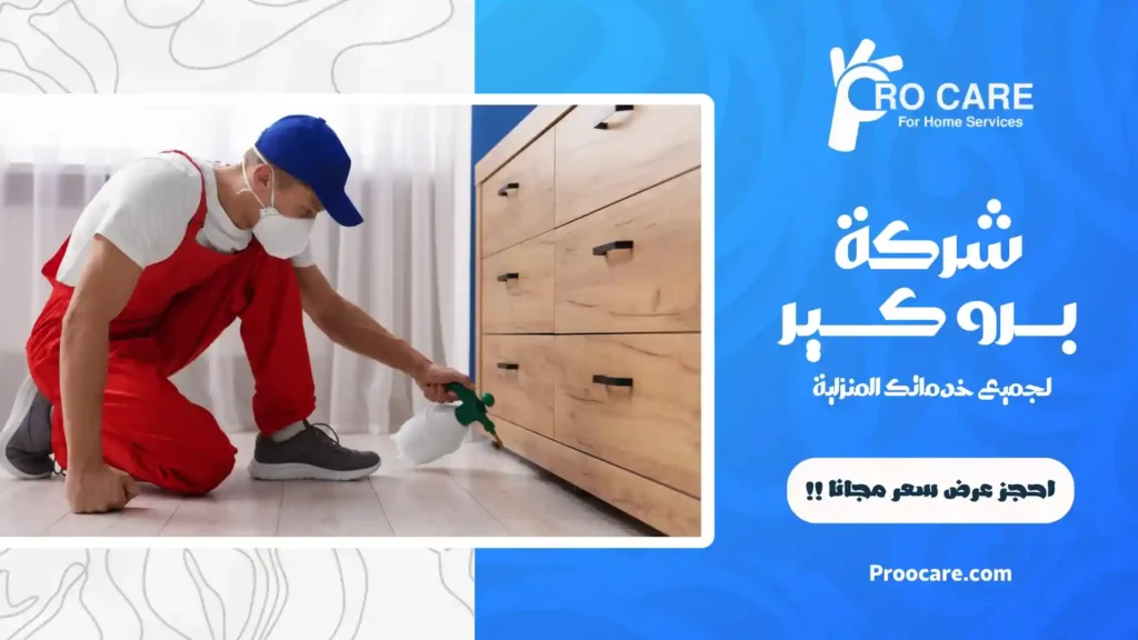 أفضل شركة مكافحة النمل الاسود بمكة
