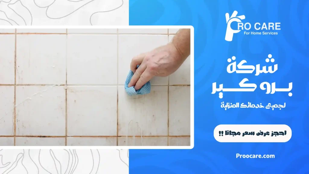 ارخص شركة تنظيف حمامات بمكة