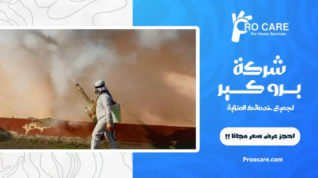 رش البعوض بجدة