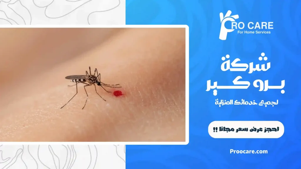 رقم شركة مكافحة البعوض بجدة