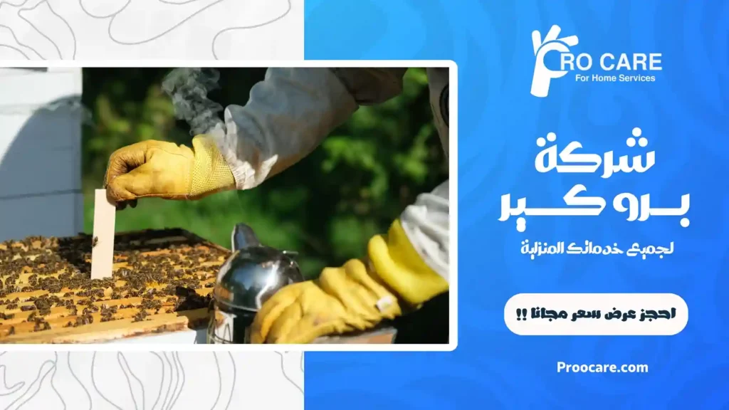 شركة إبادة النحل بجدة