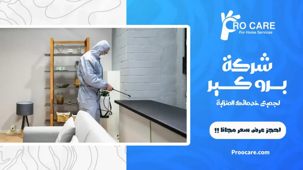 شركة مكافحة النمل بمكة
