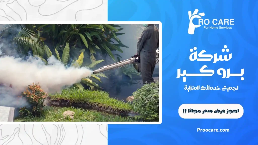 مكافحة البعوض بجدة