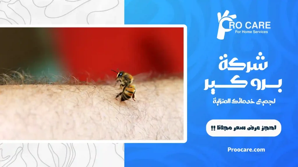 مكافحة البعوض بمكة