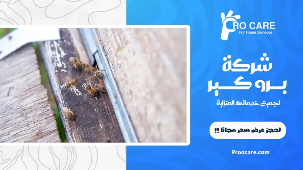 مكافحة النحل بجدة