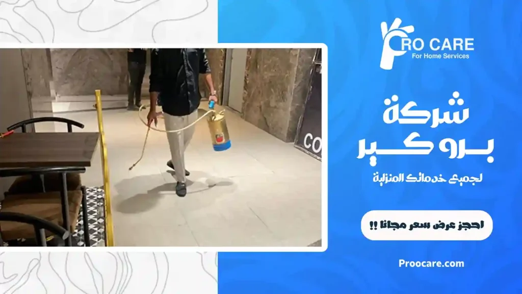إبادة النمل الاسود بجدة