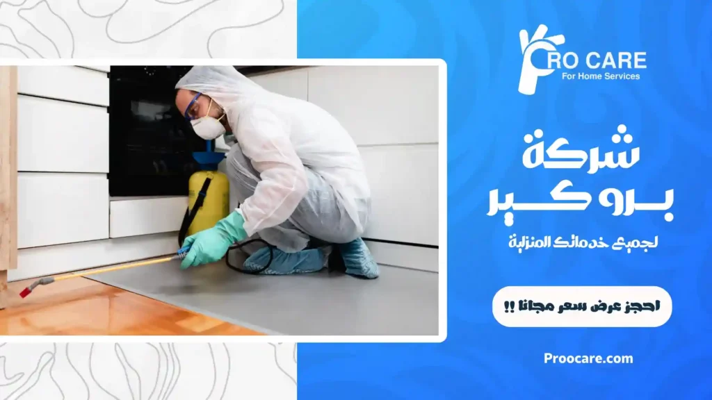 مكافحة النمل الاسود بمكة