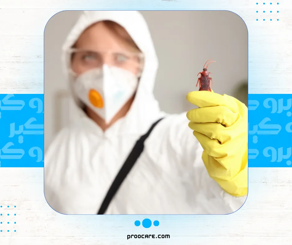 مكافحة الصراصير مع برو كير