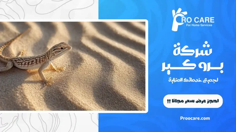 شركة مكافحة الوزغ بجدة