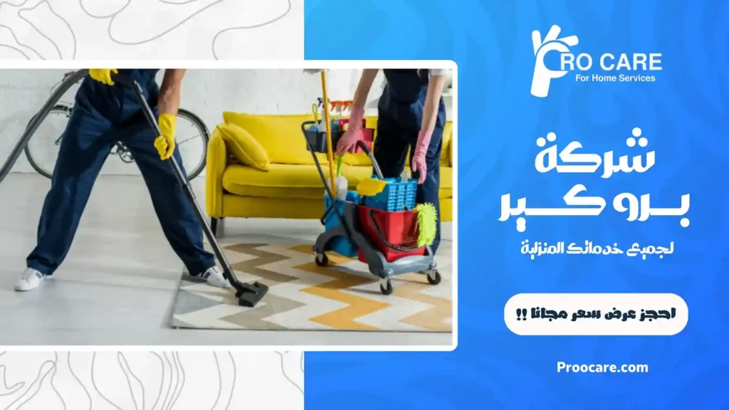 ارخص شركة تنظيف سجاد بمكة