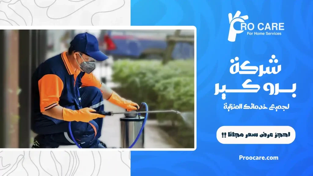 ارخص شركة مكافحة حشرات بمكة