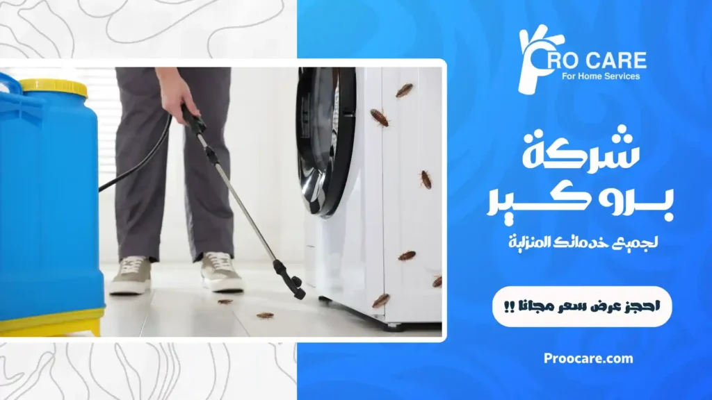 افضل شركة مكافحة حشرات بمكة