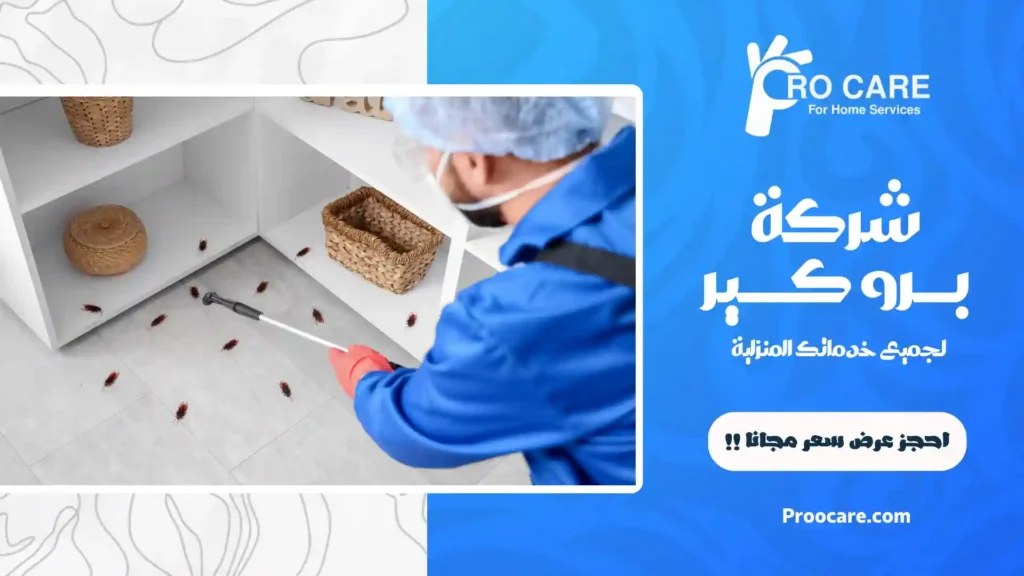 رقم شركة مكافحة حشرات بجدة