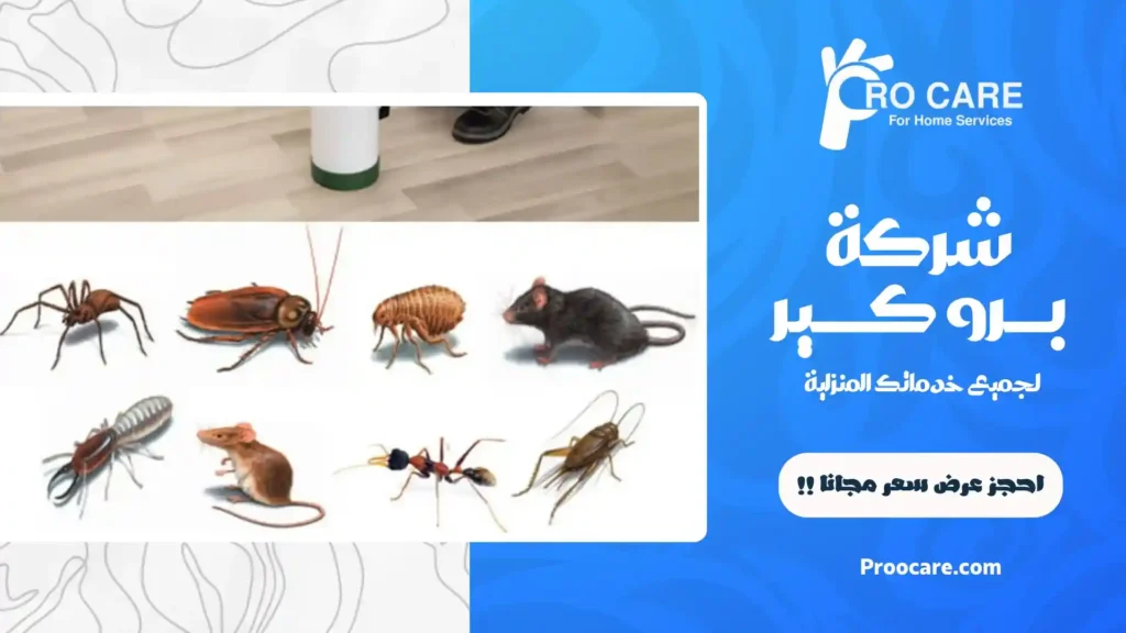 شركة مكافحة حشرات بمكة