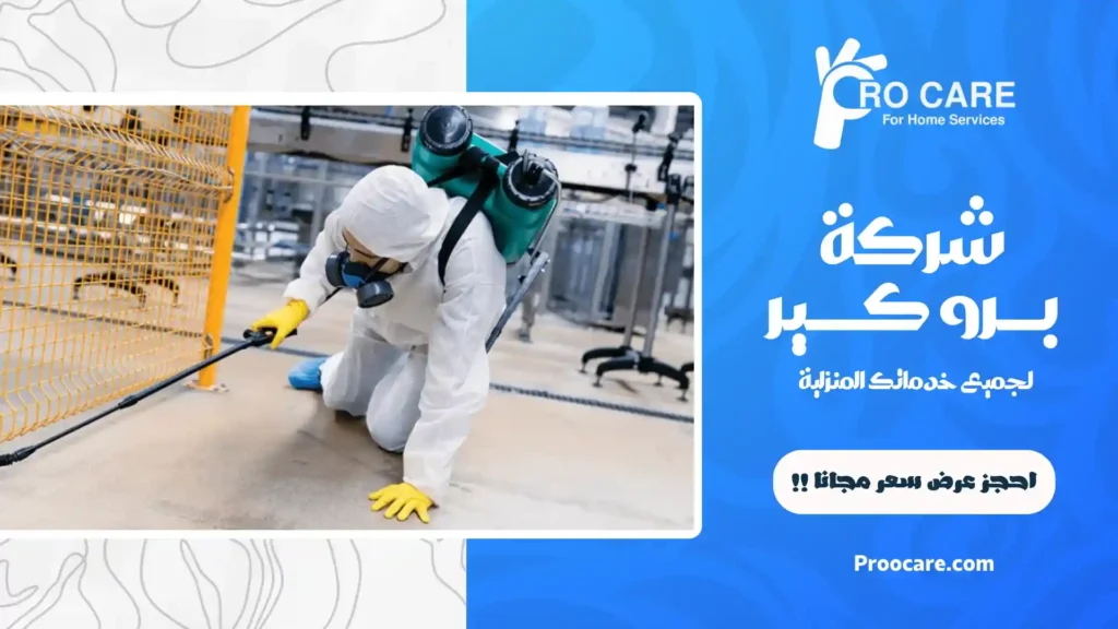 شركة مكافحة حشرات في مكة